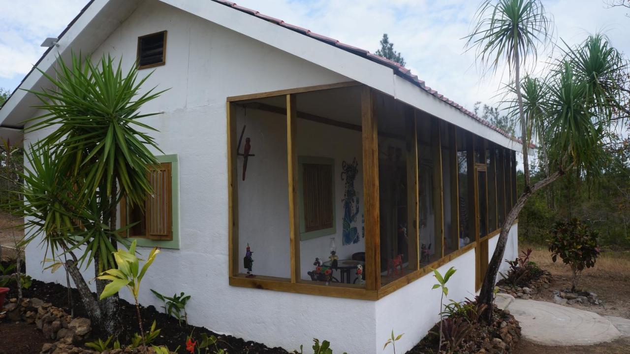 Pine Ridge Lodge San Ignacio Exterior foto