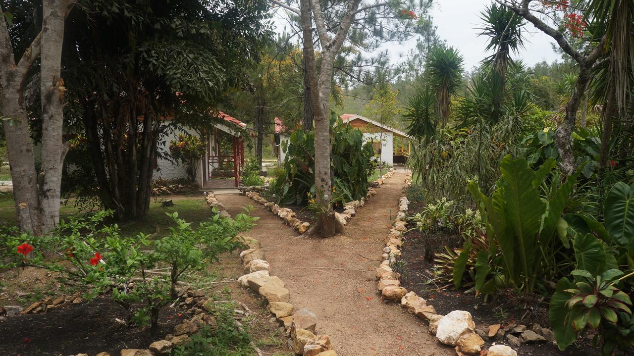Pine Ridge Lodge San Ignacio Exterior foto