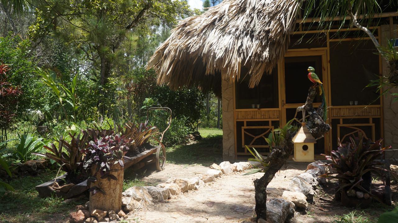 Pine Ridge Lodge San Ignacio Exterior foto